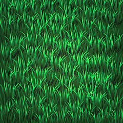 Image showing green grass