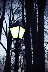 Image showing Street light and silhouettes of trees