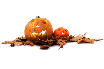 Image showing Halloween pumkins on the white background 