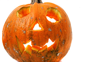 Image showing Halloween pumkin on the white background 