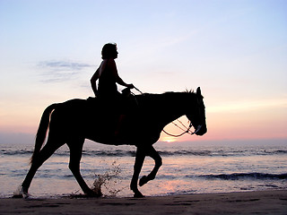 Image showing Lone rider at sunset