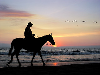 Image showing Lone rider at sunset