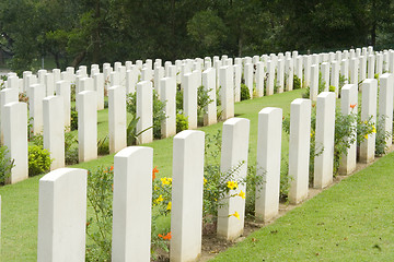 Image showing Headstones in a war cemetery

