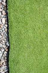 Image showing Grass and pebbles

