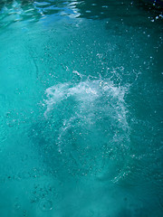 Image showing Macro Splash