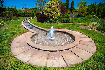 Image showing fountain in botanical garden