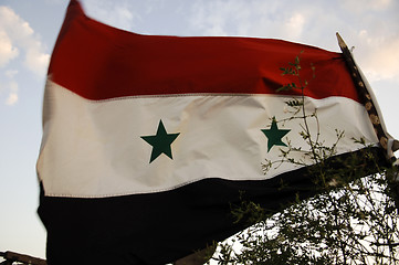 Image showing Syrian flag