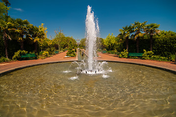 Image showing fountain in botanical garden