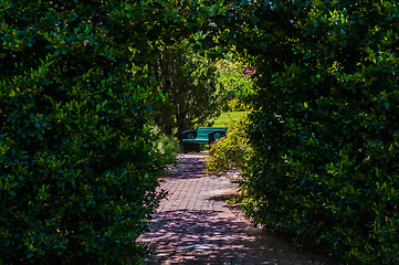 Image showing arched entrance into garden