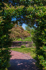 Image showing arched entrance into garden