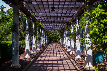 Image showing Garden Lattice walkway with stone pavers and vine flowers throug