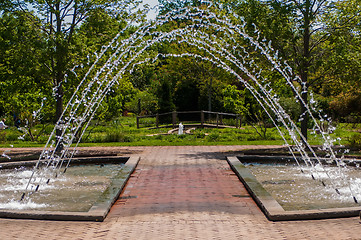 Image showing fountain in botanical garden