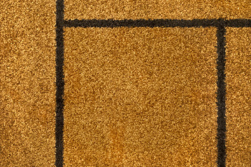 Image showing Carpet poil.