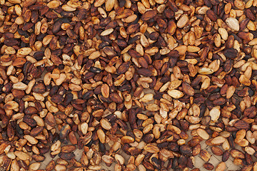 Image showing Cocoa beans natural background