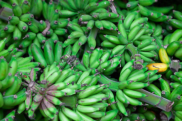 Image showing Bunches of green bananas in east market