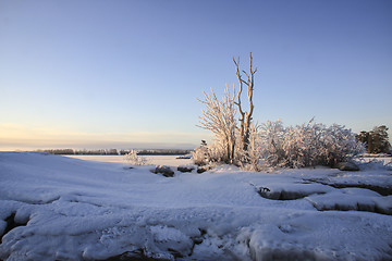 Image showing Winter Landscape