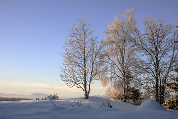 Image showing Winter Landscape