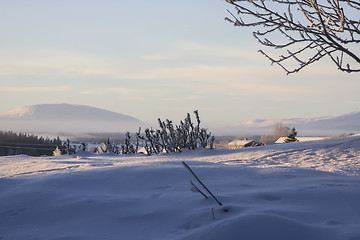 Image showing Winter Landscape