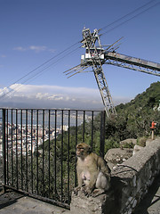 Image showing Gibraltar