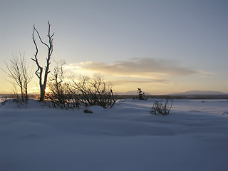 Image showing Winter Landscape