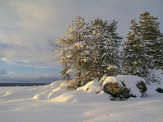 Image showing Winter Landscape