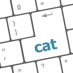 Image showing cat word on computer pc keyboard key