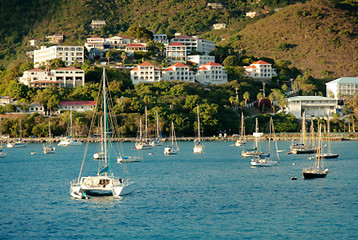 Image showing Yacht club in Saint Thomas