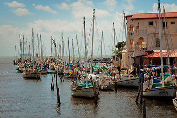 Image showing Row of white yachts in the port, Belize City