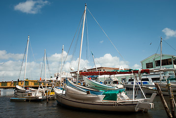 Image showing Row of white yachts in the port, Belize City