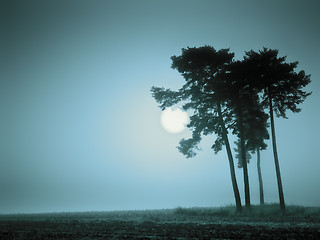 Image showing blue mood