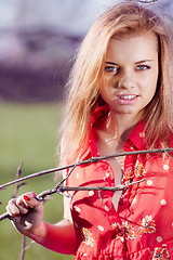 Image showing Sexy girl in red blouse