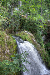 Image showing Triberg waterfall