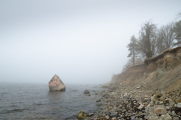 Image showing North Estonian limestone shore  in a fog