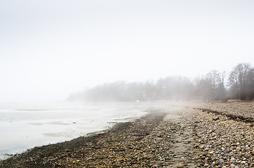 Image showing Coast of Baltic sea in a fog