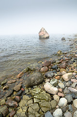 Image showing Coast of Baltic sea in a fog