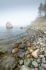 Image showing North Estonian limestone shore  in a fog