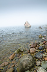 Image showing Coast of Baltic sea in a fog