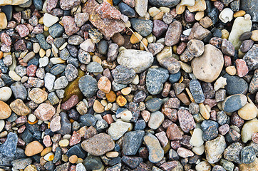 Image showing Multi-coloured sea stones, close-up 