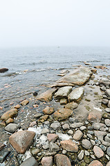 Image showing Coast of Baltic sea in a fog