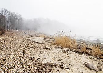 Image showing Coast of Baltic sea in a fog