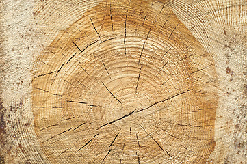 Image showing Background of split wood