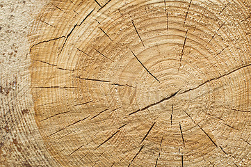 Image showing Background of split wood