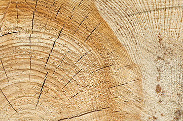 Image showing Background of split wood