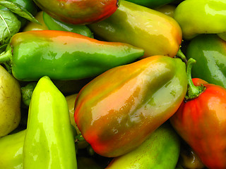 Image showing Crop of multicolour Bulgarian pepper