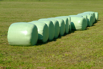 Image showing hay bale in plastic