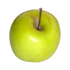 Image showing Green Apple