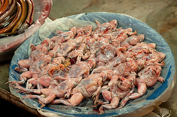 Image showing Fresh frogs on local food market