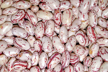 Image showing Beans salad