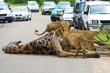 Image showing African Traffic Jam