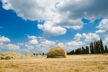 Image showing stack of straw